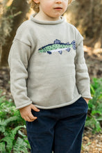 Load image into Gallery viewer, Toddler Boys Roll Neck Sweater Trout Design
